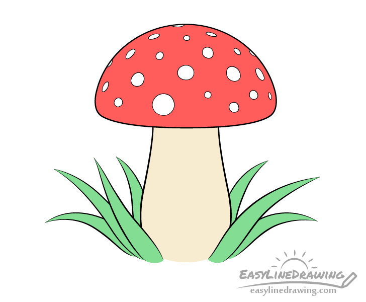 How to Draw a Mushroom Step by Step EasyLineDrawing