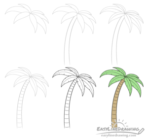 How to Draw a Palm Tree Step by Step - EasyLineDrawing