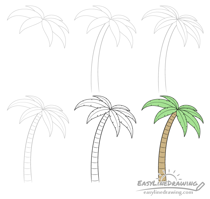 How to Draw a Palm Tree Step by Step EasyLineDrawing