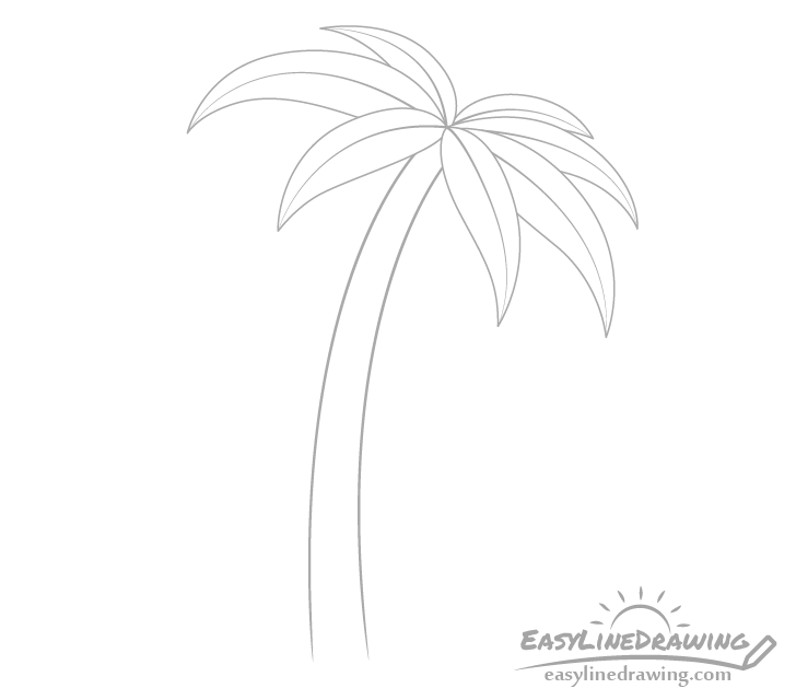 Easy How to Draw a Palm Tree Tutorial  Palm Tree Coloring Page