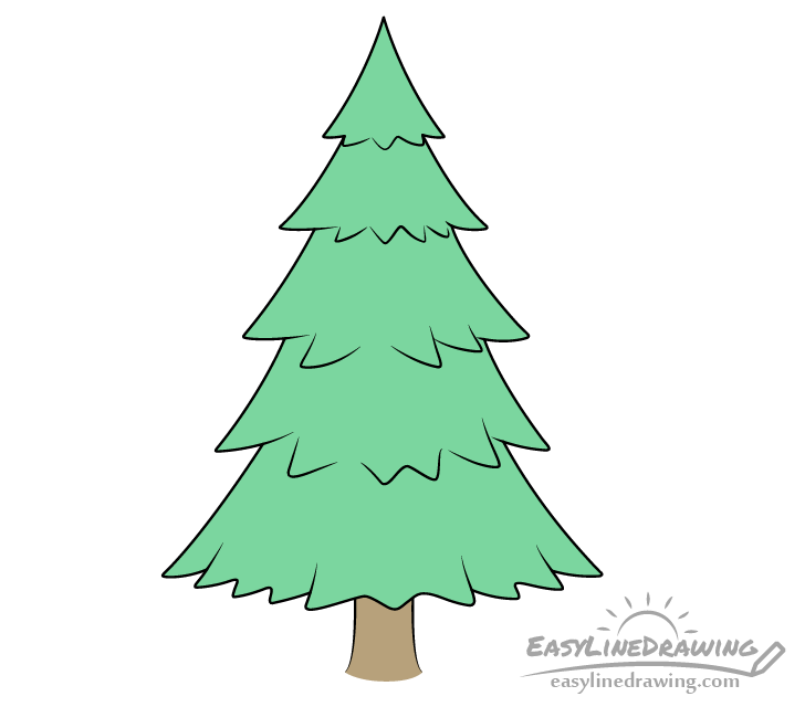 How to Draw a Pine Tree Step by Step - EasyLineDrawing