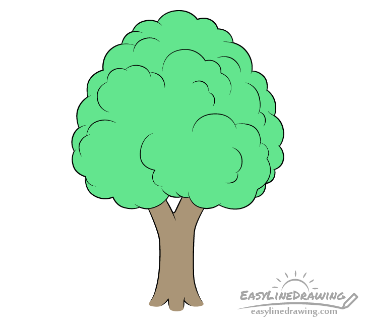 How to Draw a Tree Step by Step  EasyLineDrawing