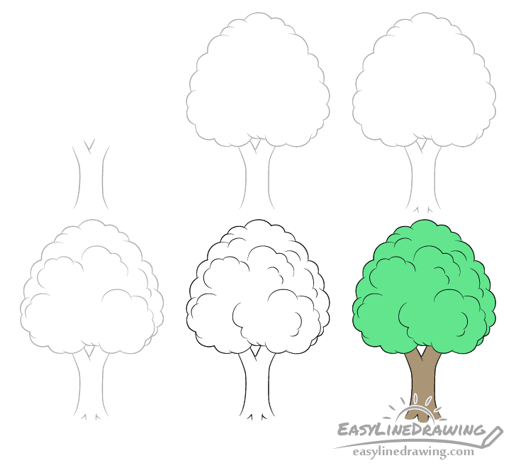 How To Draw A Tree Step By Step Easylinedrawing