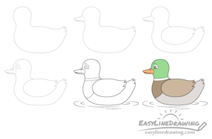 How to Draw a Duck Step by Step - EasyLineDrawing