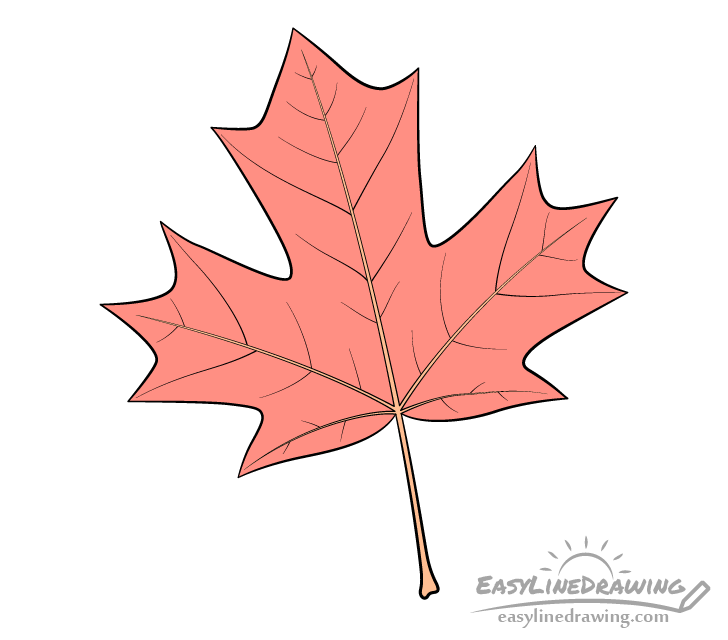 Maple Leaf Drawing - How To Draw A Maple Leaf Step By Step