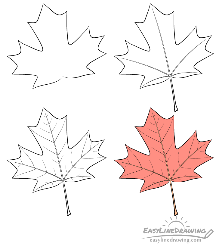 Maple leaf drawing step by step