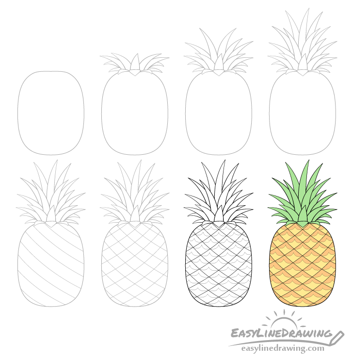 How to Draw a Pineapple Step by Step  EasyLineDrawing