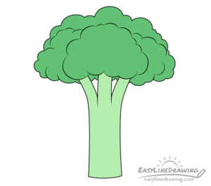 broccoli squishable