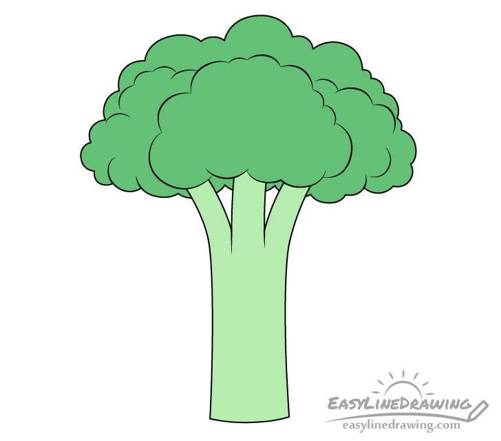 How to Draw Broccoli Step by Step EasyLineDrawing