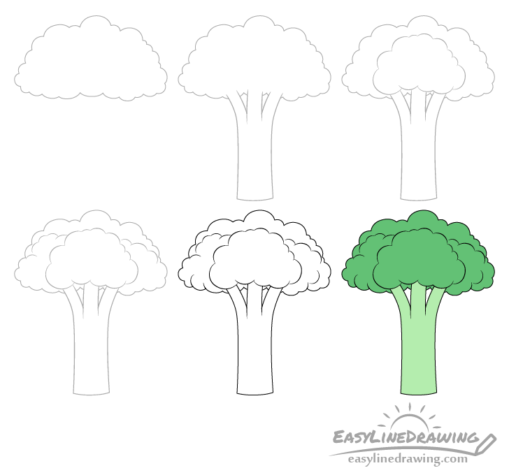 How to Draw Broccoli Step by Step EasyLineDrawing