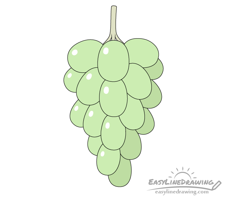 How to Draw Grapes Step by Step - EasyLineDrawing