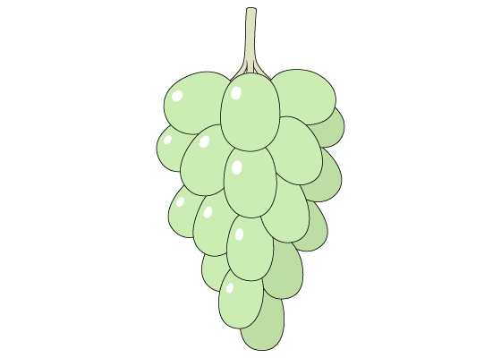 Grapes Drawing Easy Step by Step For KidsBeginners