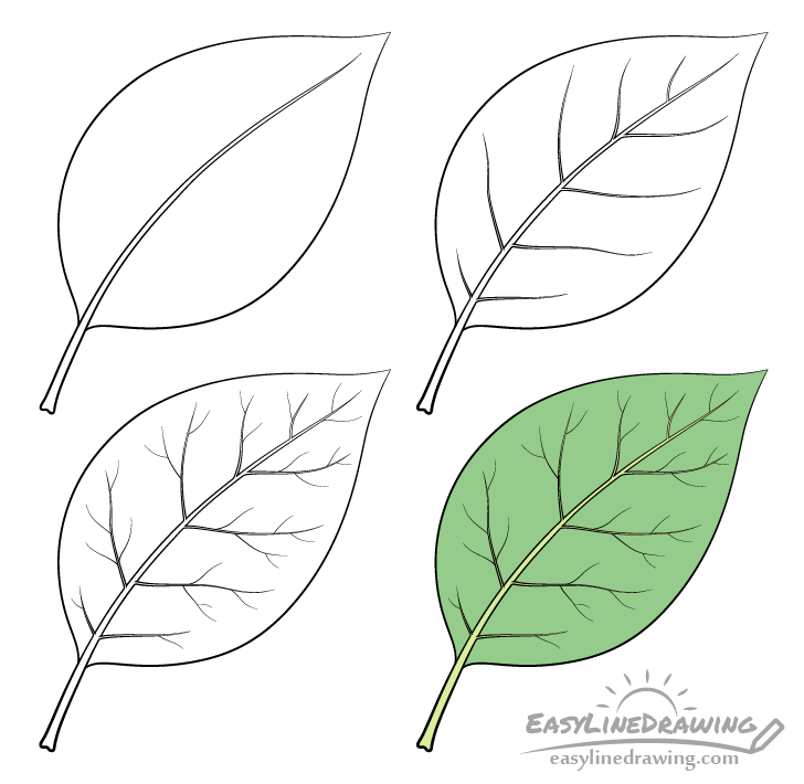 Hand drawing summer leaves A big set of images of leaves of different  trees Sketch design elements Vector Stock Vector  Adobe Stock