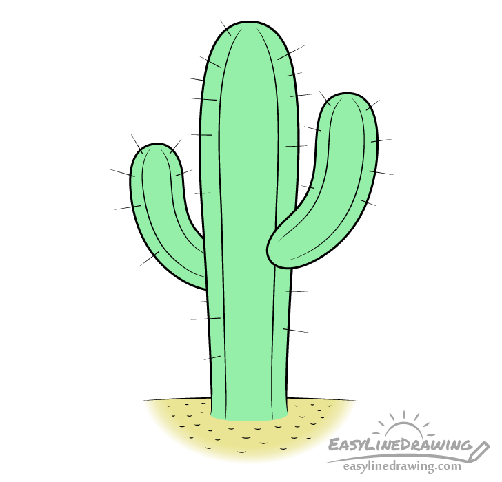 How to Draw a Cactus  A StepbyStep Realistic Cactus Drawing