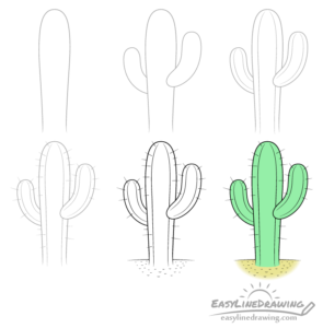 How to Draw a Cactus Step by Step - EasyLineDrawing