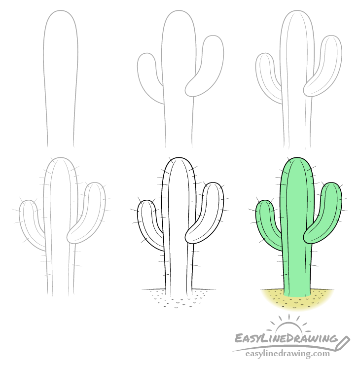Sketch of a cactus Royalty Free Vector Image  VectorStock