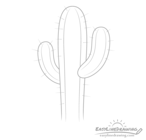 How to Draw a Cactus Step by Step - EasyLineDrawing