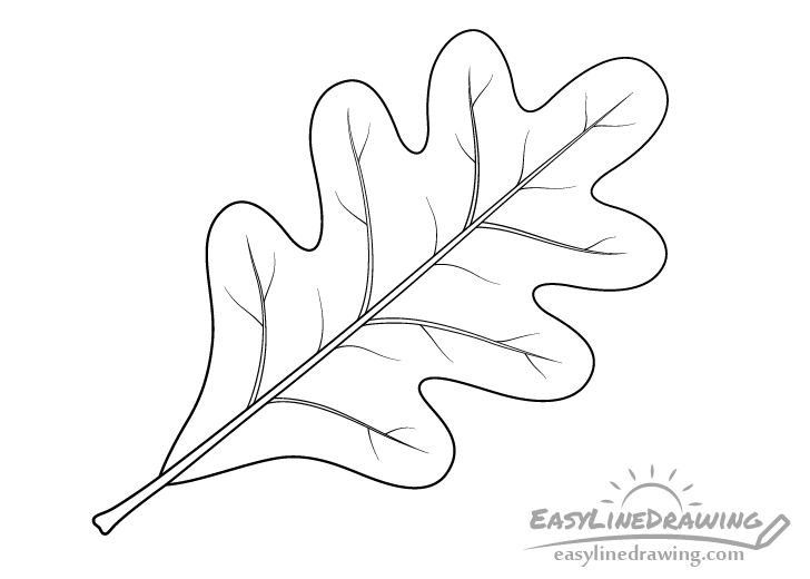Oak leaf line drawing