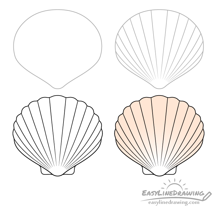 seashell drawing step by step