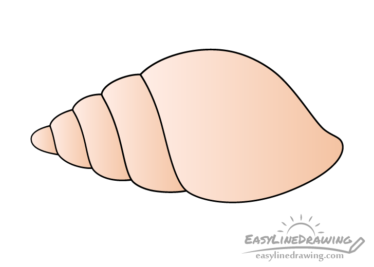 how to draw seashells for kids