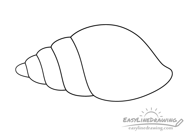 Premium Vector  Hand drawn sketch of sea shell in monochrome