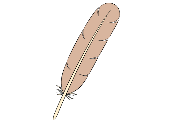 How to Draw a Feather Step by Step  EasyLineDrawing