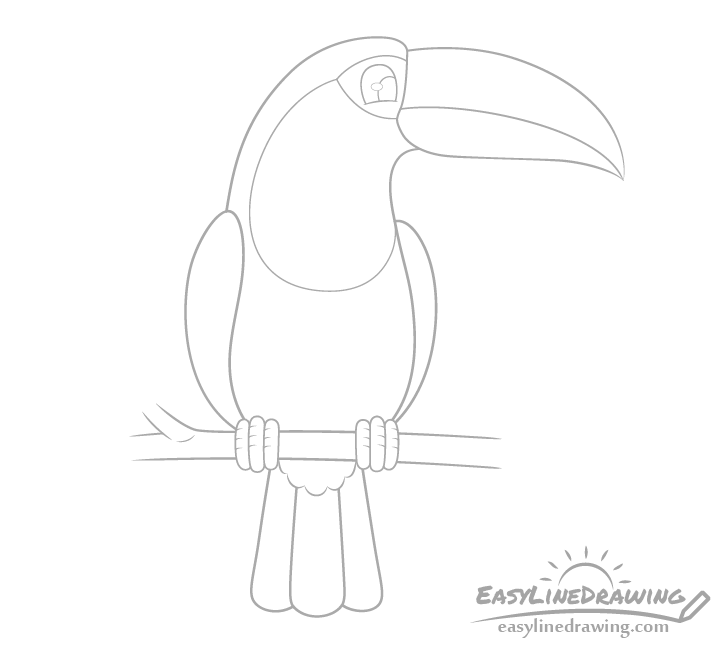Toucan feet details drawing