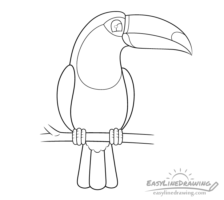 Toucan line drawing