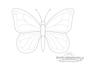 How to Draw a Butterfly Step by Step - EasyLineDrawing