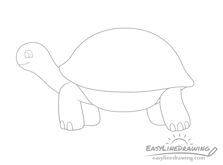Tortoise toes drawing