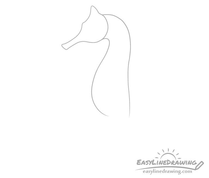 how to draw a seahorse step by step for kids